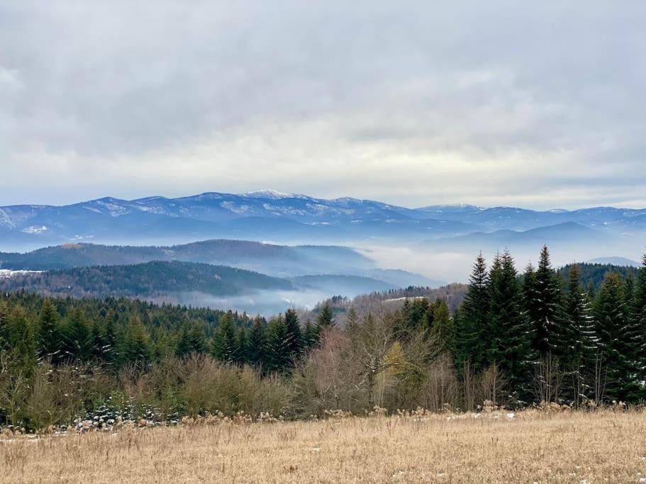 Blizej Nieba Koskowa Gora Villa Bogdanowka Eksteriør bilde